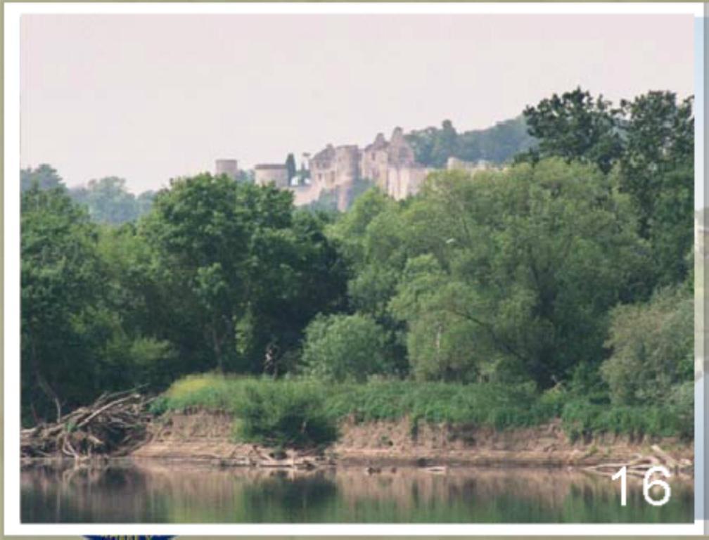 Domaine Du Heron Шинон Экстерьер фото